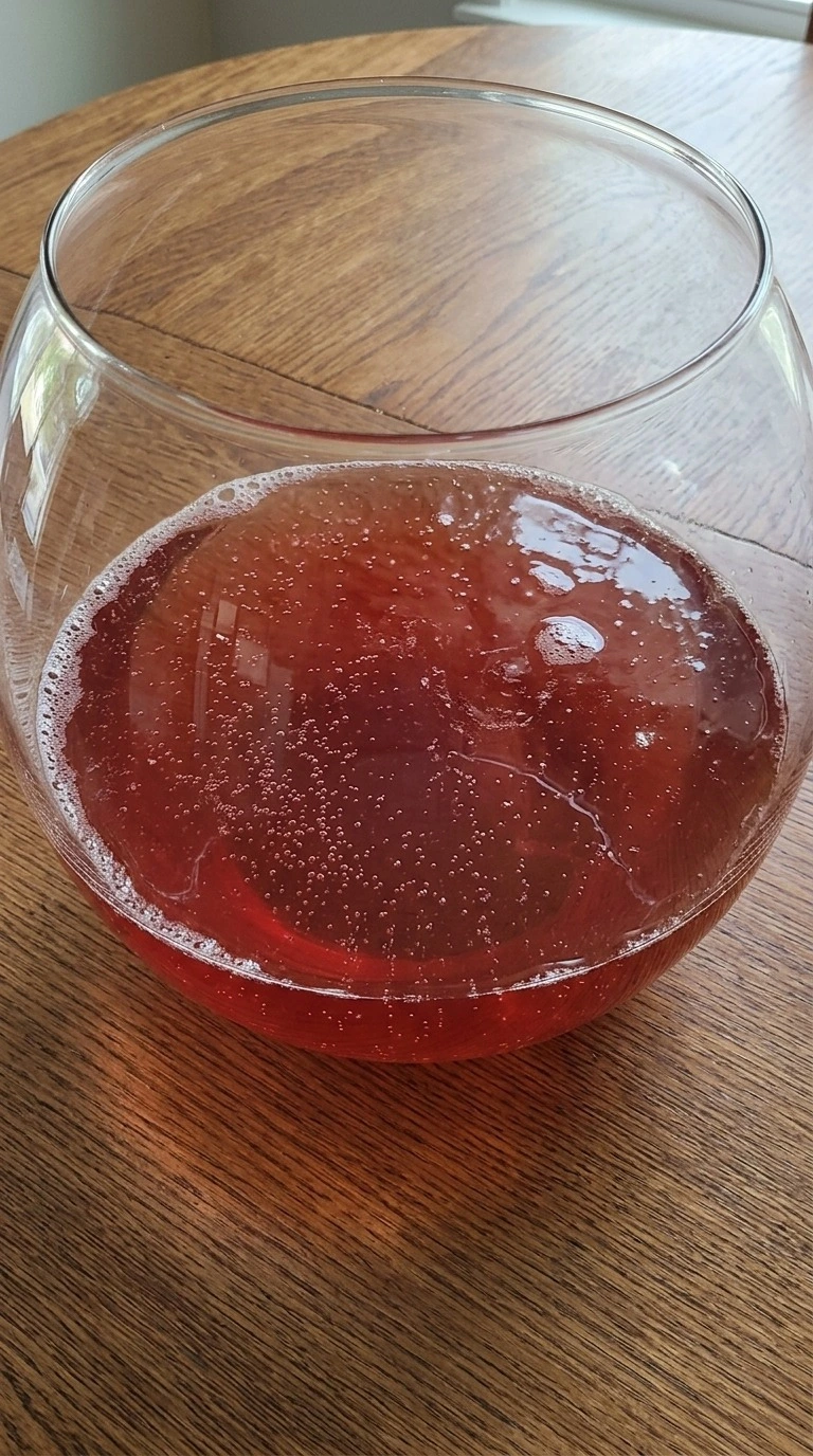 Christmas Sherbet Punch turning fizzy as chilled ginger ale mixes with the cranberry and pineapple juice Recipe focus: christmas punch.